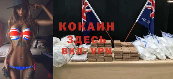 дживик Невель