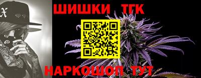 стафф Моздок