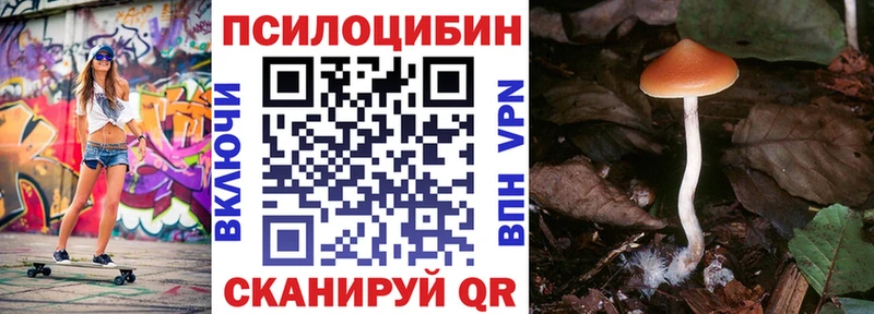 Псилоцибиновые грибы Psilocybine cubensis  Евпатория 
